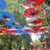 Jingshan park สวนสาธารณะที่สวยงามในปักกิ่ง🇨🇳