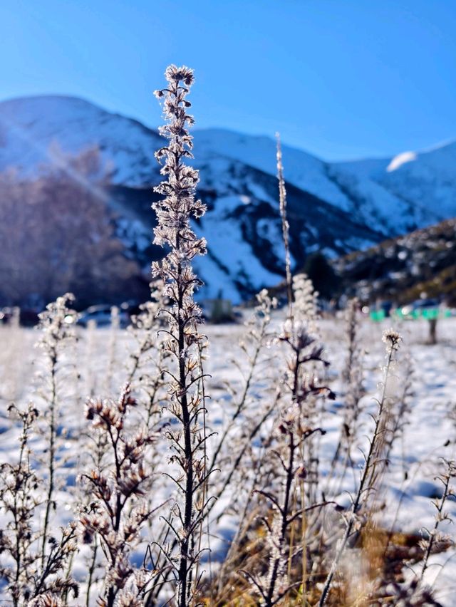 Serene Alpine Beauty: Discover Lake Lyndon