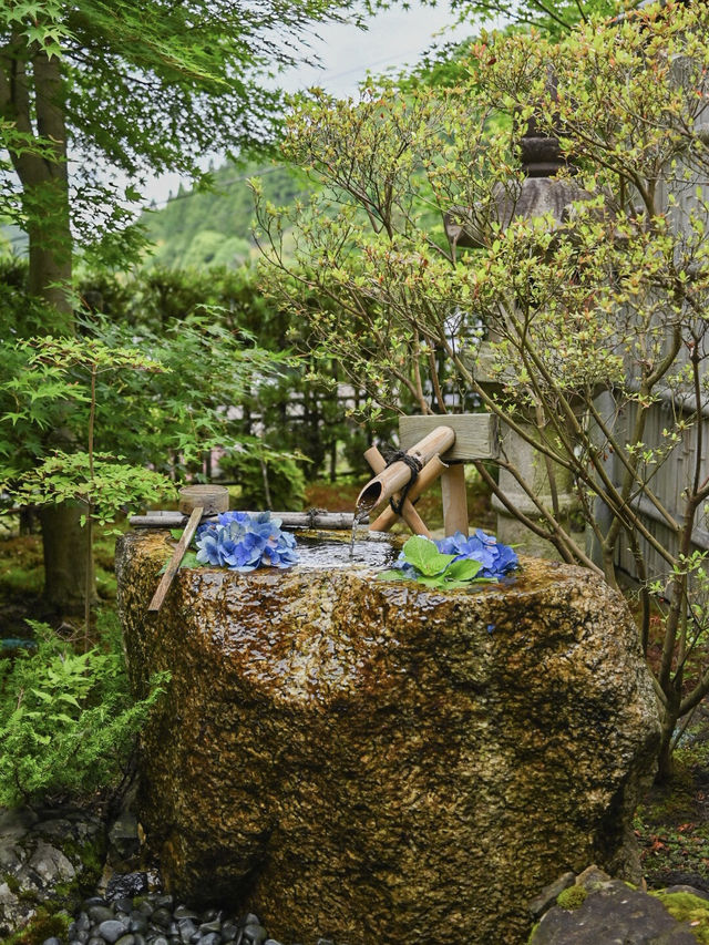 【京都/宇治】風鈴飾りが話題のお寺、正寿院🎐 