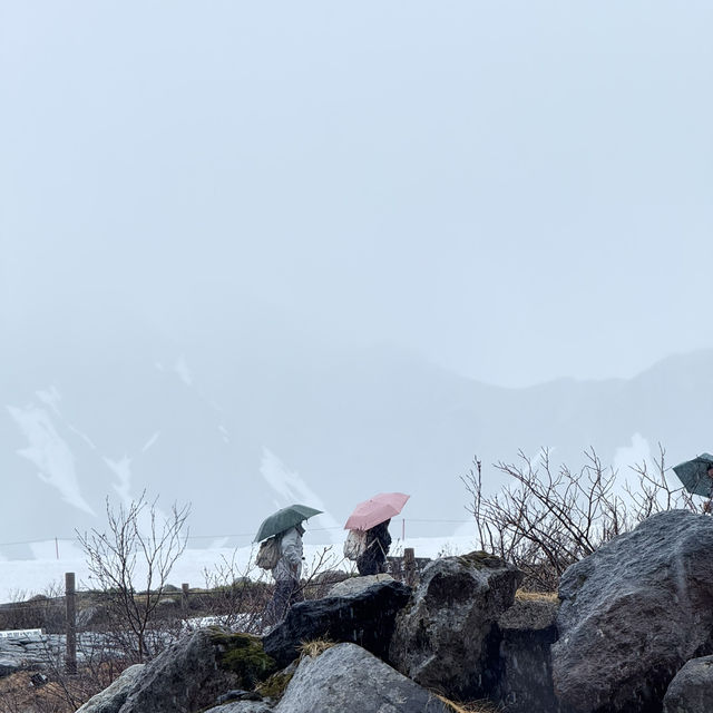 หิมะครั้งแรกของฉัน ณ กำแพงหิมะ Murodo Snow Wall 