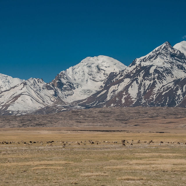 Mount Kailash Spiritual Treckking
