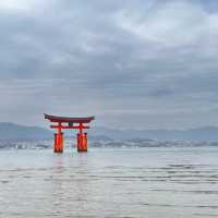 【広島/宮島🇯🇵】神秘的な風景に心揺れる⛩ 嚴島神社