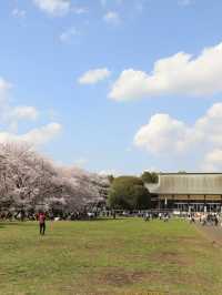 【東京🇯🇵】昔にタイムスリップ？東京で過ごす落ち着いた1日プラン