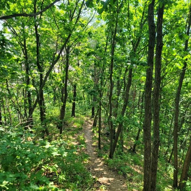 Cozy Trails & Calm Views