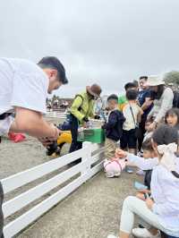 距離東京市中心一小時的 - 母親牧場