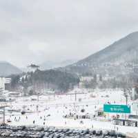 용평스키장뷰가 기가막힌 그린피아리조트