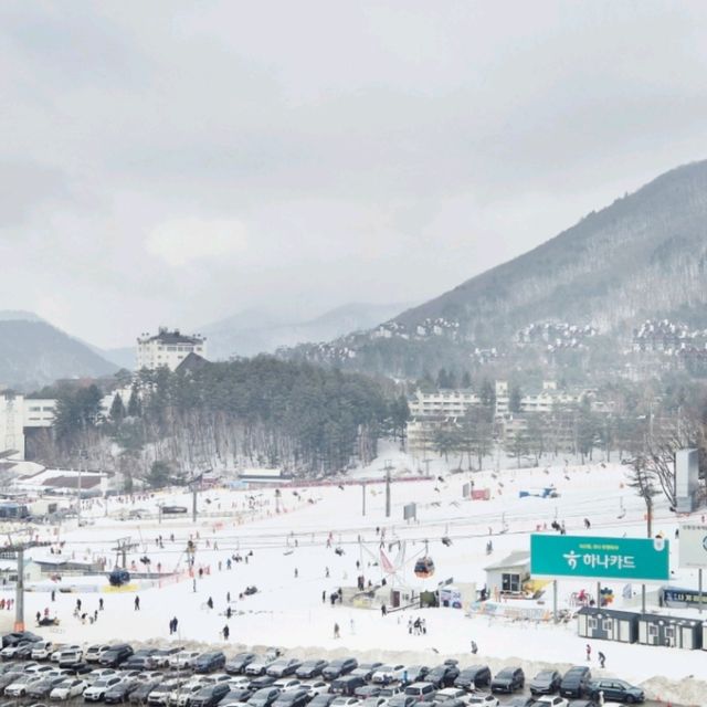 용평스키장뷰가 기가막힌 그린피아리조트