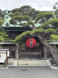 こんな景色が見れるなんて！日本の無人島と長谷寺あじさい