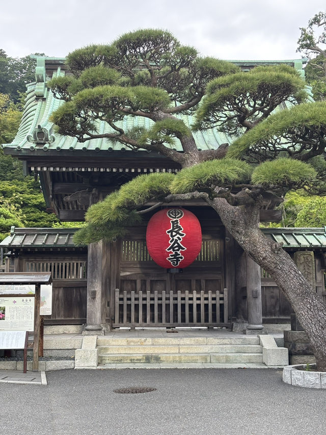 こんな景色が見れるなんて！日本の無人島と長谷寺あじさい