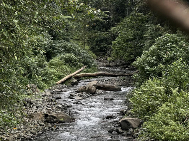 🌿 Lombok Waterfalls: Hike the Wild, See the Beautiful! 💦