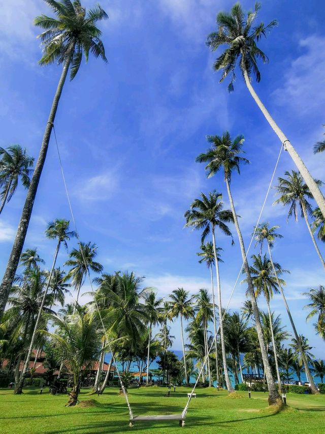 🌴 เกาะกูด บีช รีสอร์ท (Koh Kood Beach Resort) 🌴