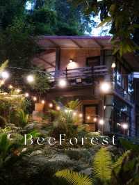 🍃 นอนริมลำธารกันมั้ย? ที่ Bee Forest แม่ออน 🌿