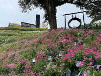 🌸 Blooming Lovely at Flora Park, Cameron Highlands