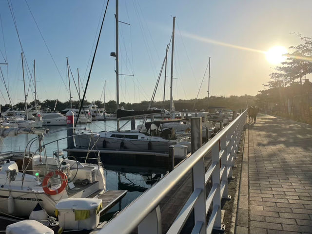 漫步漁光島：一場海風輕拂的夕陽夢境！