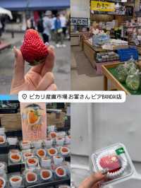 新潟のおすすめスポット紹介❗️