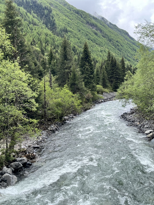 Everything You Need to Know for Visiting Shuangqiaogou at Mount Siguniang