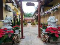 Beauty of vientnam