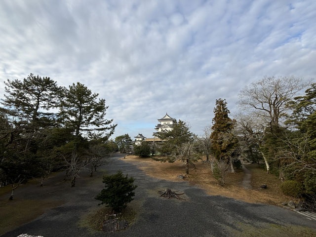 伊賀上野城（石垣非常壯觀）