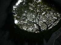 A Leafy Escape in the City – My Visit to Fort Canning Park, Singapore