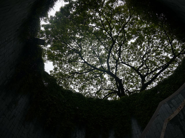 A Leafy Escape in the City – My Visit to Fort Canning Park, Singapore