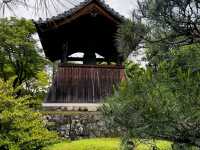 Arashiyama Bamboo Forest