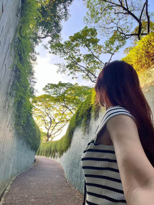 Discovering the Dragon Hole at Fort Canning Park🐉