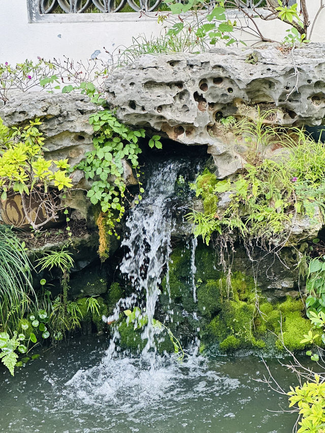 🌸 Discover Zuibaichi Park Shanghai | Ancient Poetry Garden & Tranquil Beauty