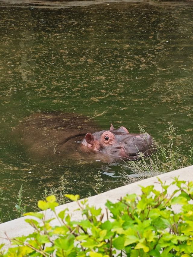 ~潮汕野生動物世界~