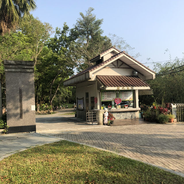 台南新化林場