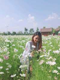 สวนดอกไม้ บ้านไร่นายรุ่ง กาญจนบุรี