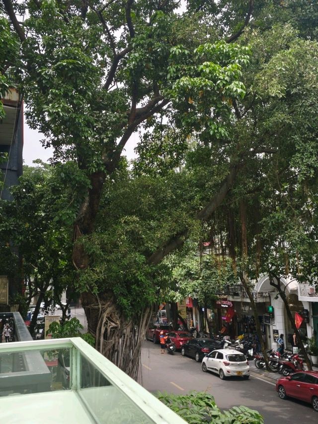 越南高品質巧克力