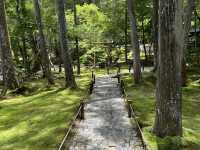 Saiho-ji (Koke-dera) in the Sunshine: A Refreshing Experience! ☀️🌿