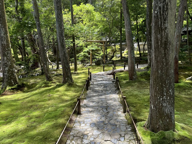 Saiho-ji (Koke-dera) in the Sunshine: A Refreshing Experience! ☀️🌿