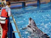 🐧 A Whimsical Day at Noboribetsu Marine Park Nixe