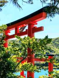 A Stunning Sight at Hakone Shrine’s Torii Gate