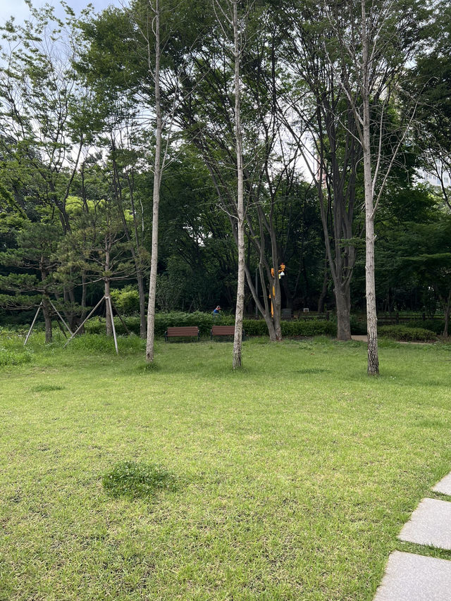 도서관과 숲속 공원