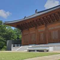 🌆 Solo Adventure: Gwangju’s Hidden Gems in a Day