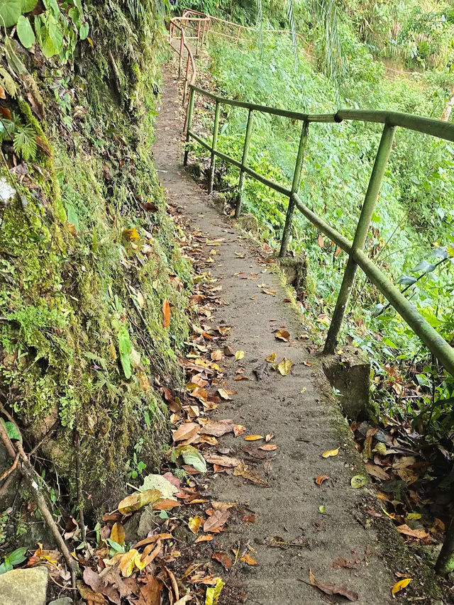 BATAD RICE TERRACES