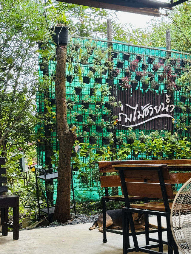 กินข้าวริมน้ำ ฟีลดีสุดๆ ที่ “ร่มไม้ชายน้ำ จันทบุรี