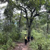 ดอยขุนตาล อุทยานที่เหมาะสำหรับมือใหม่เดินป่า