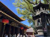 普陀山普濟寺：活大殿內照見本具圓通的心靈