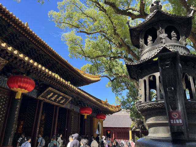 普陀山普濟寺：活大殿內照見本具圓通的心靈