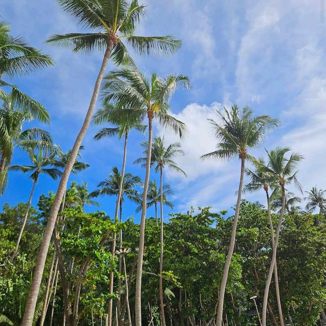 Freedom Beach