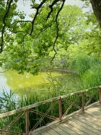 Green Calm in Osaka: Nagai Park