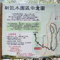 司馬庫斯-巨木群登山步道