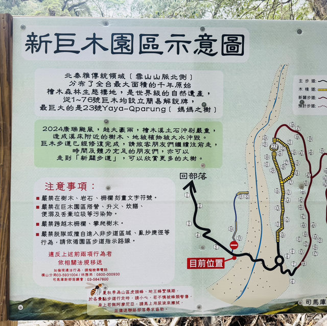 司馬庫斯-巨木群登山步道