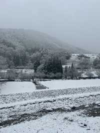 Shirakawago ลุ้นหิมะตกต้นธันวา!