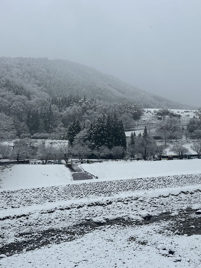 Shirakawago ลุ้นหิมะตกต้นธันวา!