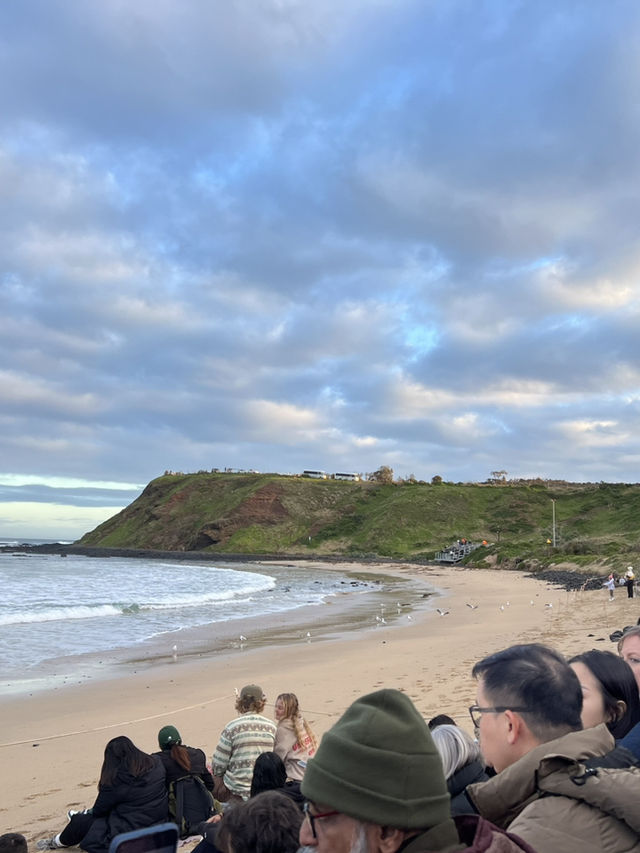 7D6N Melbourne & Beyond Adventure!