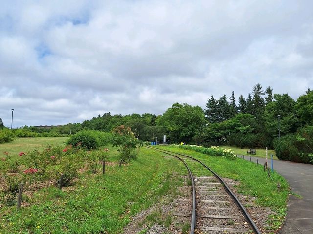 美麗的北海道城市-小樽